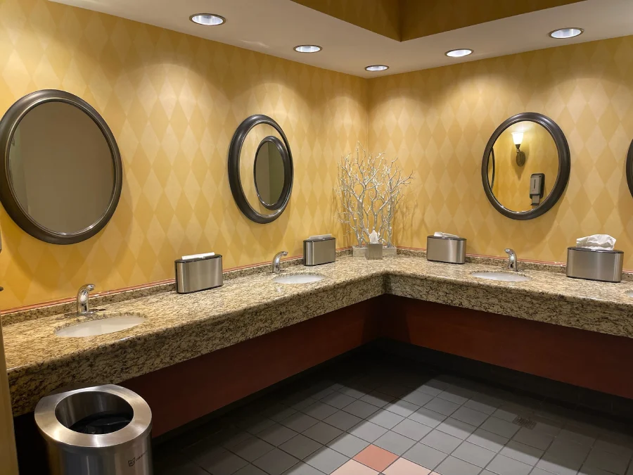 Bathroom Cleaning